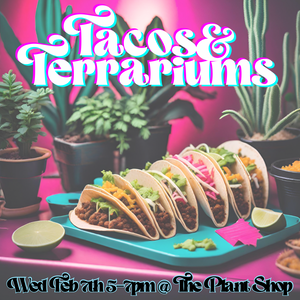 Tacos & Terrariums
