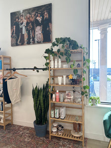 succulent interior design Interior Plant Design
